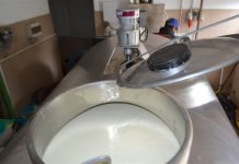 Proizvodnja mlijeka
