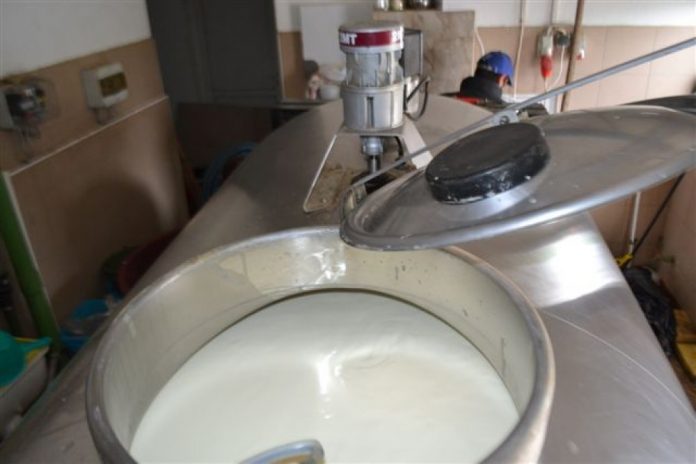 Proizvodnja mlijeka