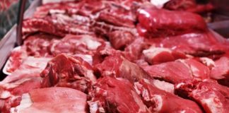 Kontrola mesa iz uvoza