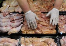 Izvoz pilećeg mesa u EU