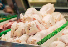 Izvoz piletine u EU