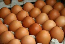 Izvoz piletine i jaja u EU