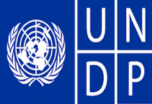 Javni poziv UNDP
