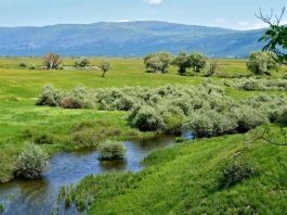 zasticena podrucja bih priroda