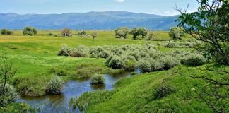 zasticena podrucja bih priroda