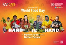FAO obilježava 80 godina i poziva na zajedničko djelovanje povodom Svjetskog dana hrane