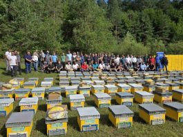 Zbog klimatskih promjena sve više izazova za pčelare