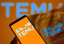 BiH ne zna koliko TEMU paketa ulazi u zemlju